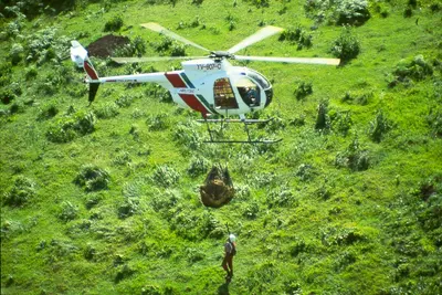 Helicóptero MD Helitec con eslinga de carga externa sobre vegetación